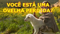 Examínate a si mismo para ver si no eres una oveja perdida.