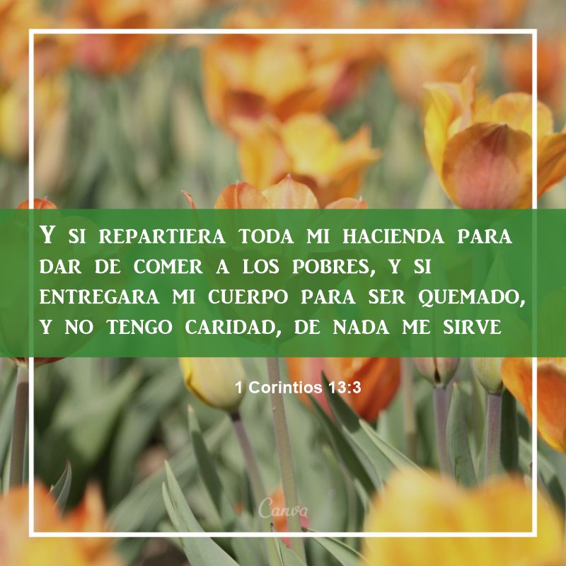 1 Coríntios 13:3