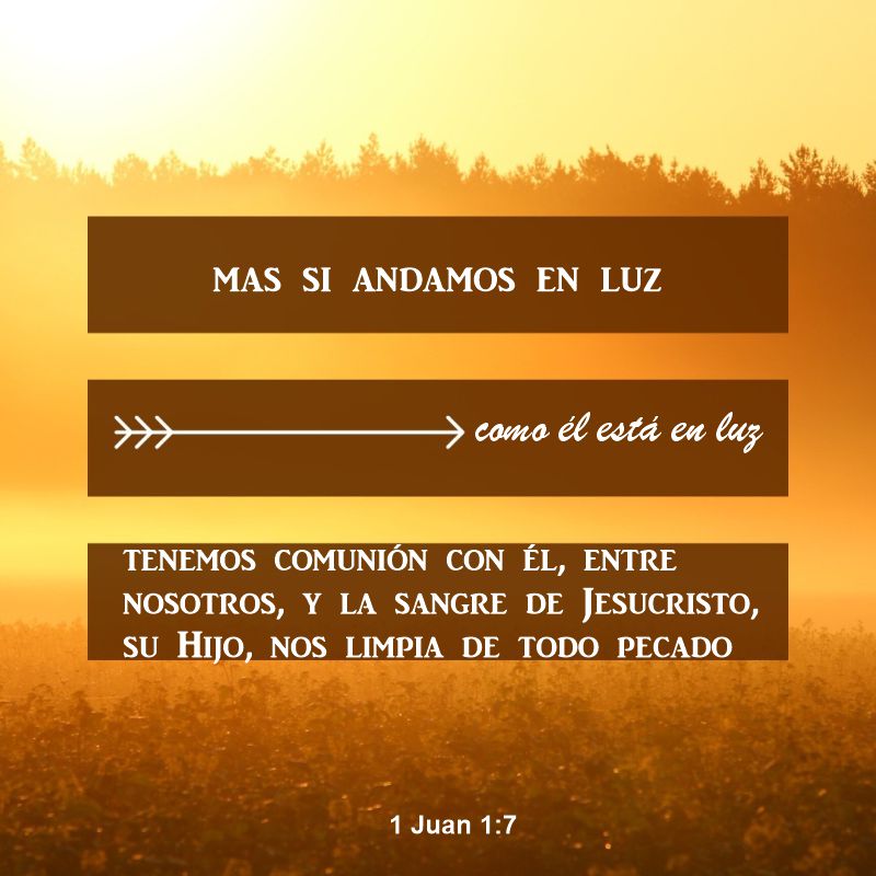 1 Juan 1:5-7