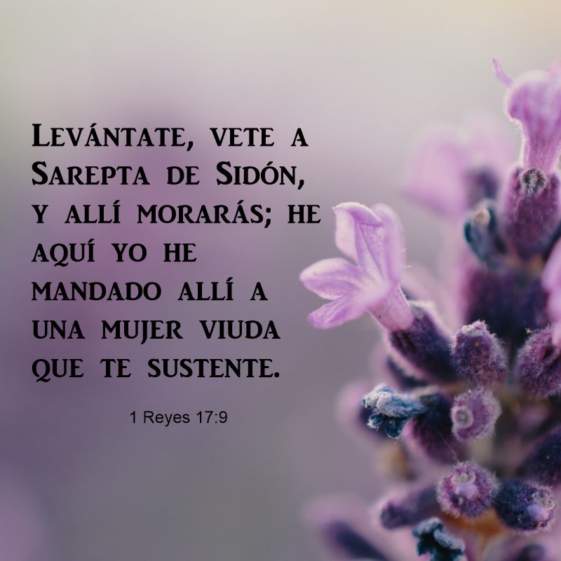 1 Reyes 17:9