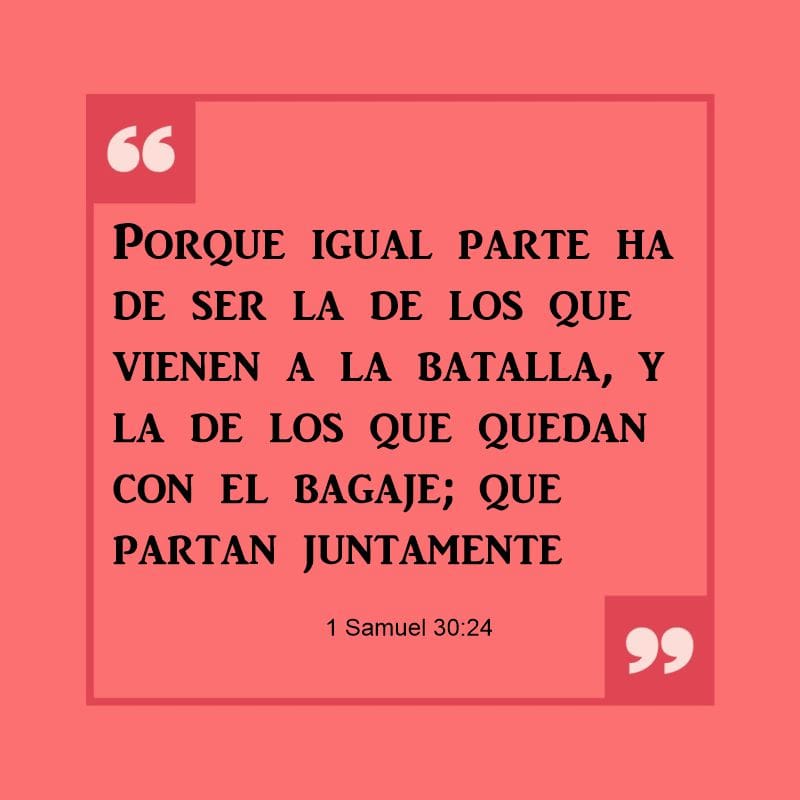 1 Samuel 30:24