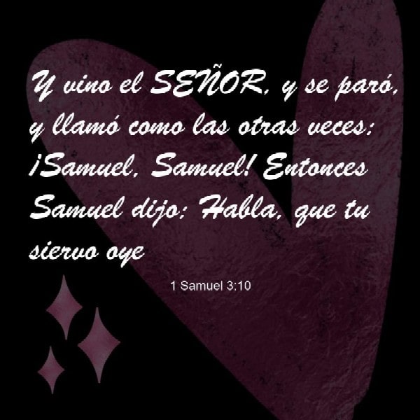 1 Samuel 3:30