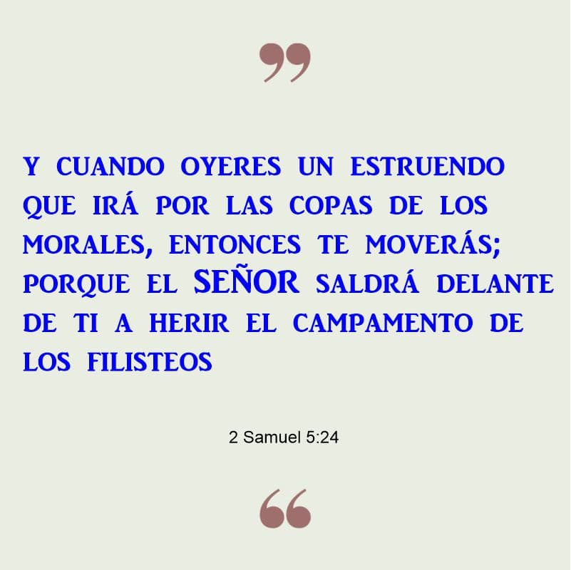 2 Samuel 5:24