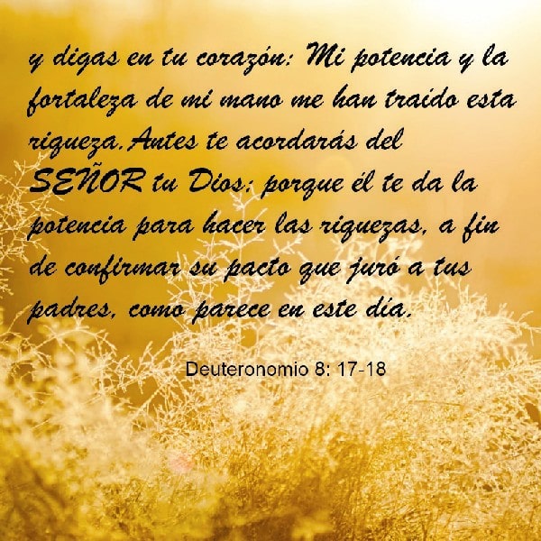 Deuternomio 8:17-18