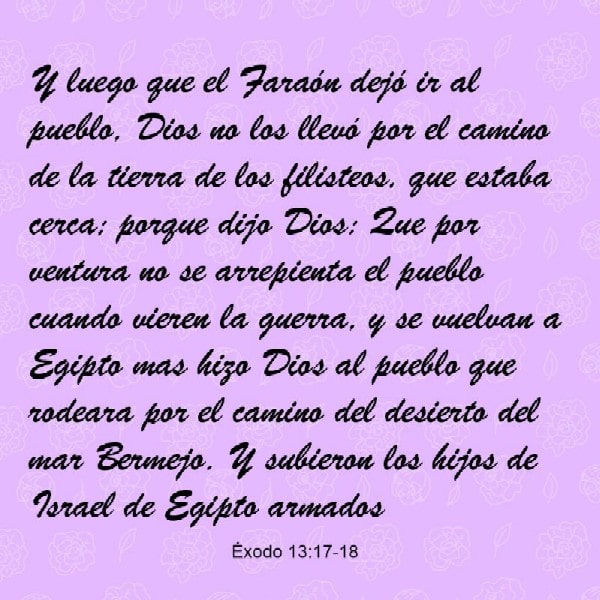 Éxodo 13:17-18