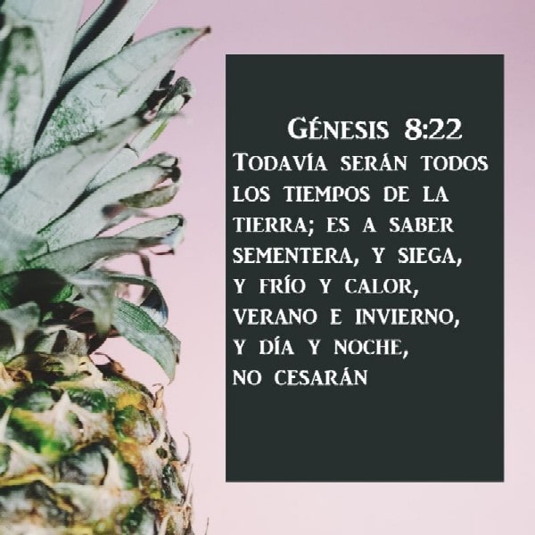Génesis 8:22