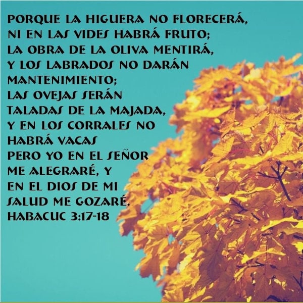 Habacuque 3:17