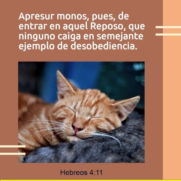 Hebreus 4:11