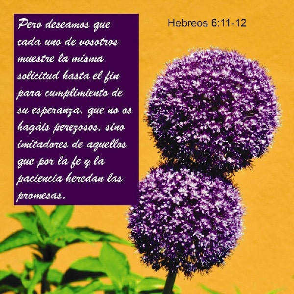 Hebreos 6:11