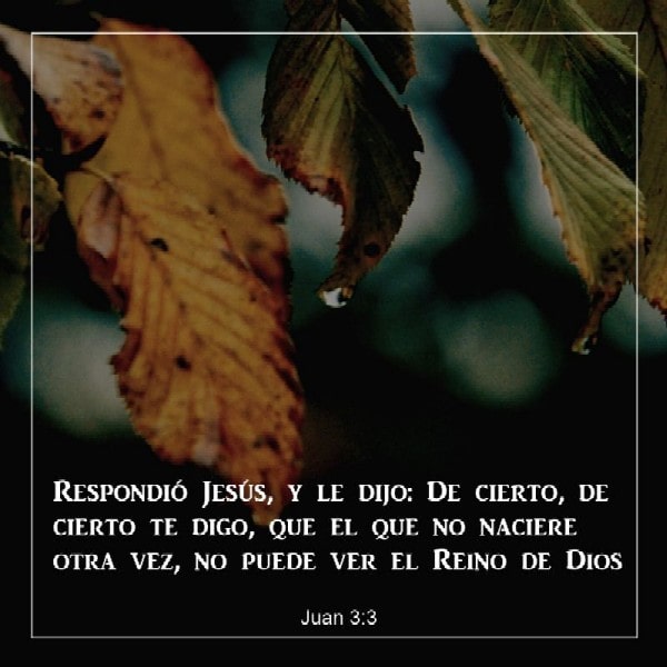 Juan 3:3