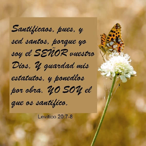 Levítico 22:29