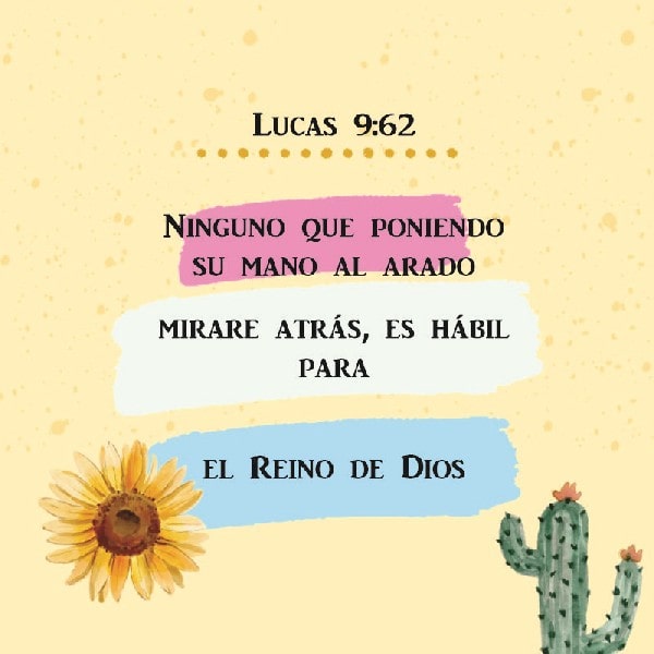 Lucas 9:62