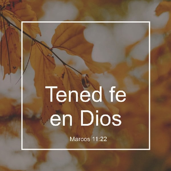 Marcos 11:22