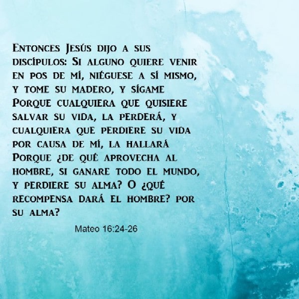 Mateo 16:24