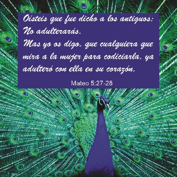 Mateo 5:27-28