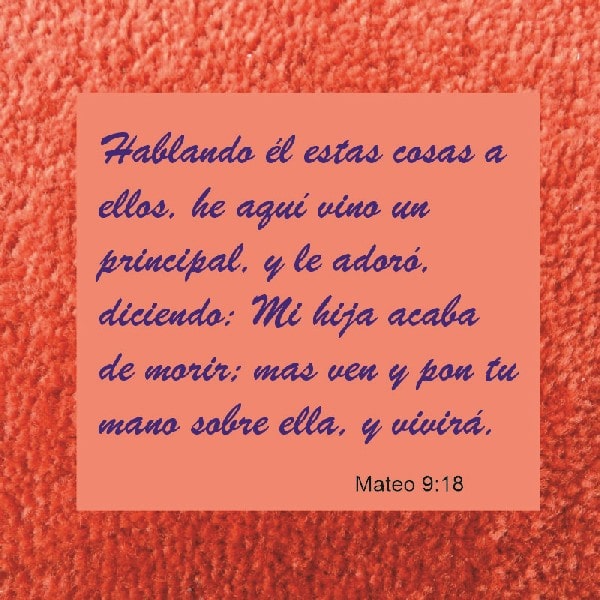 Mateo 9:18