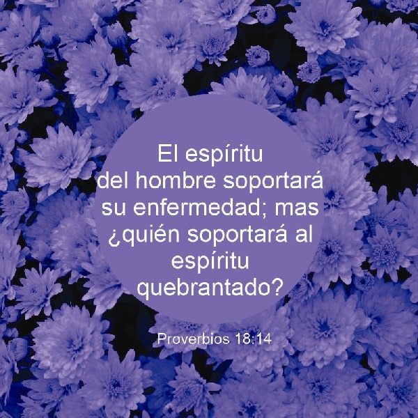 Proverbios 18:14