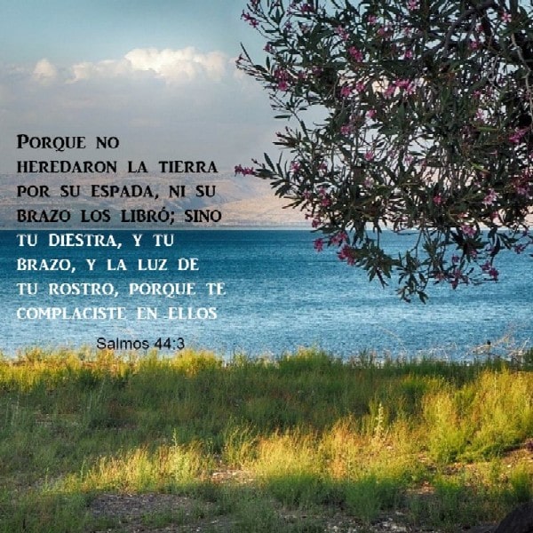 Salmos 44:3