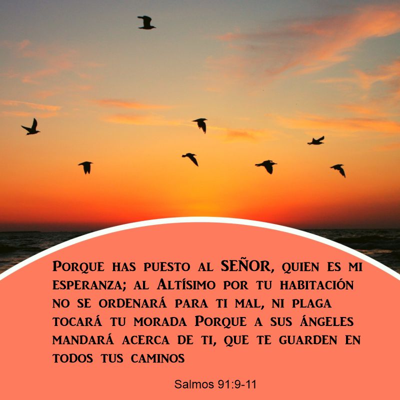 Salmos 91:9-11