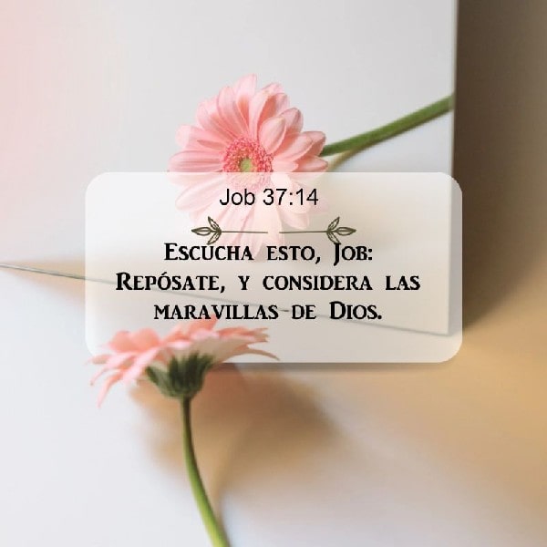 Job 37:14