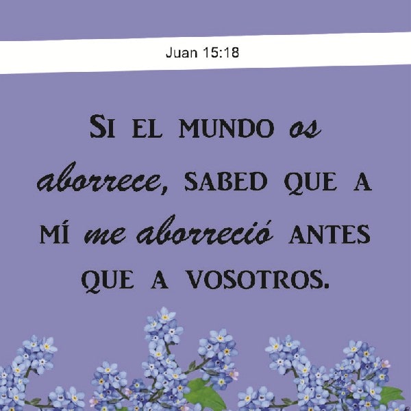 Juan 15:18