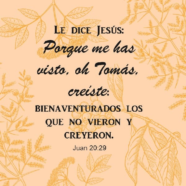 Juan 20:29