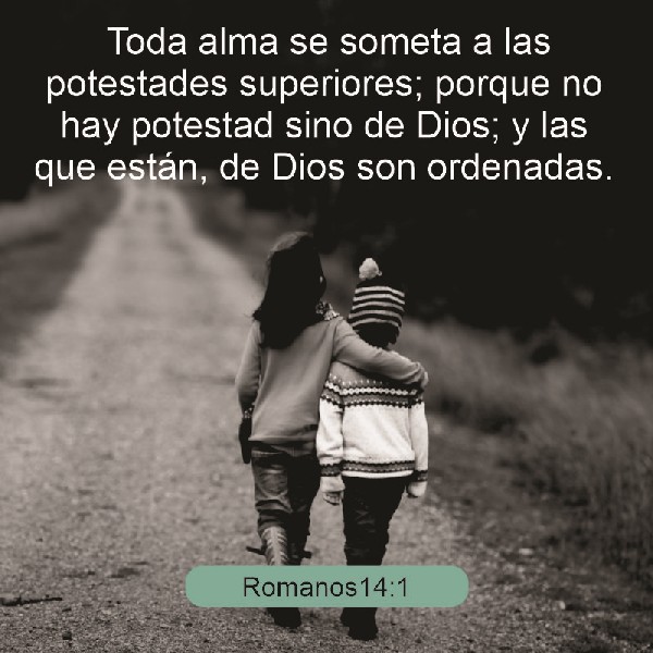 Romanos 14:1