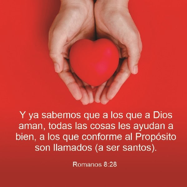 Romanos 8:28