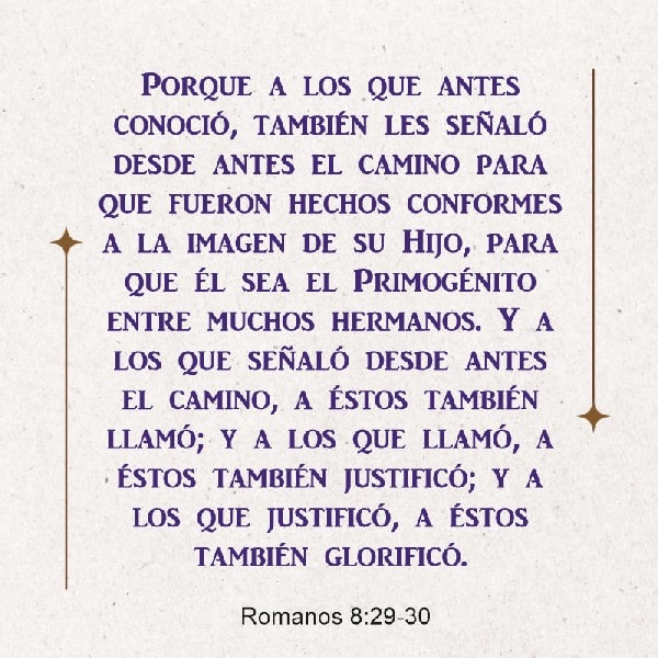 Romanos 8:29-30