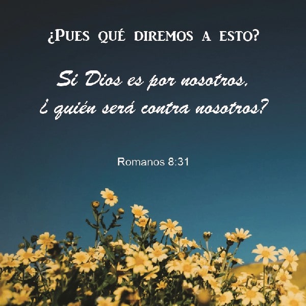 Romanos 8:31