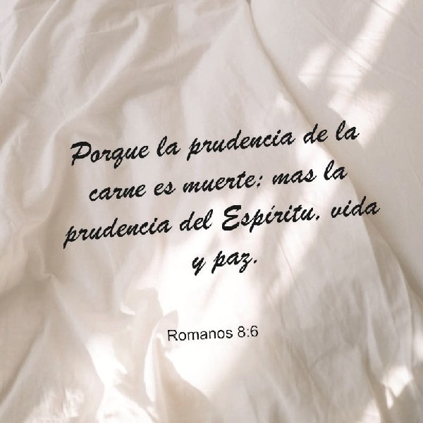 Romanos 8:6