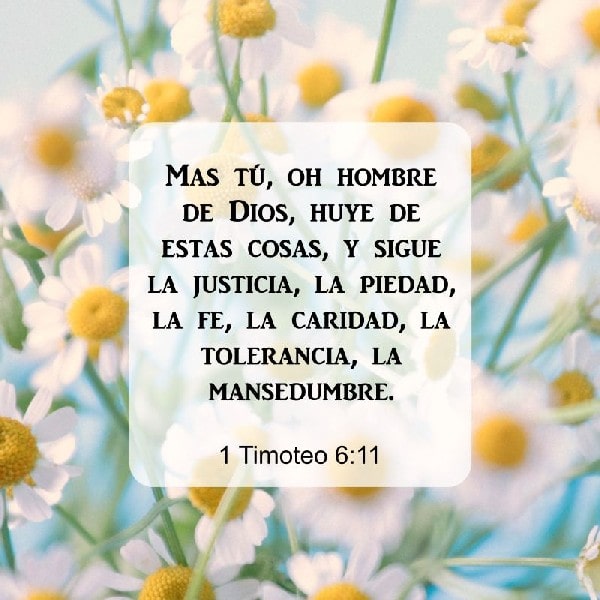 1 Timoteo 6:11