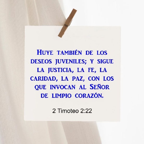 2 Timoteo 2:22