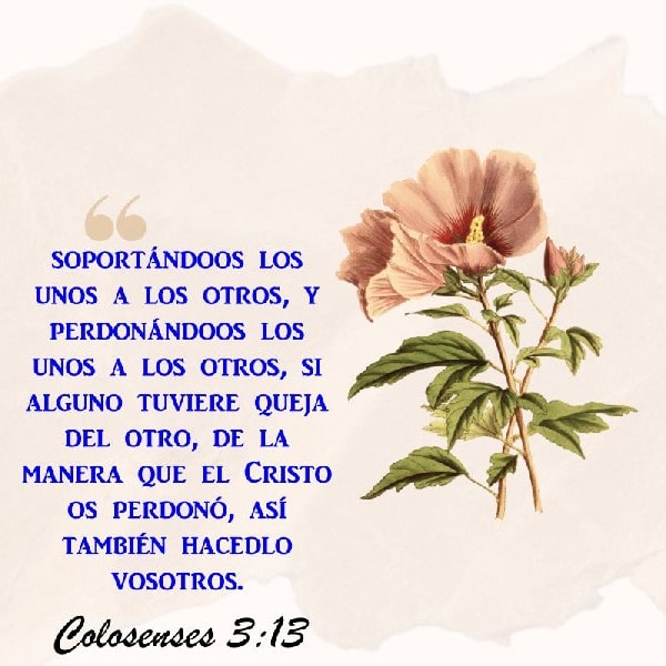 Colosenses 3:13