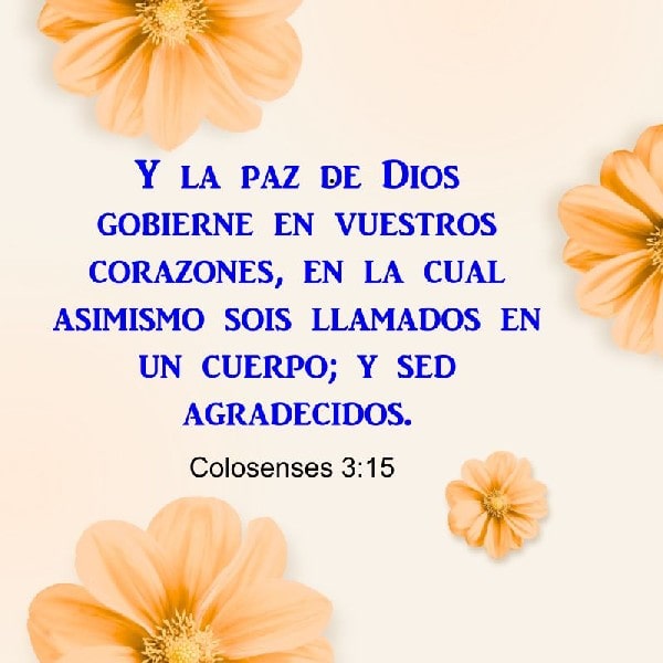 Colosenses 3:15