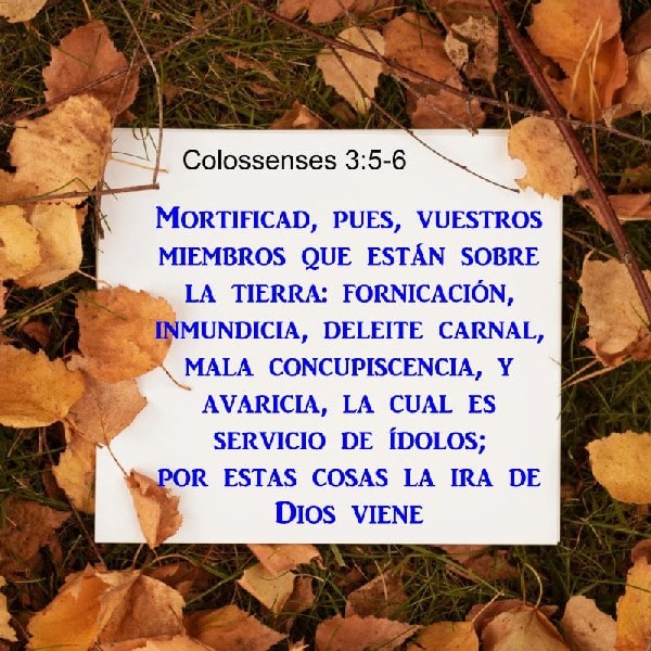 Colosenses 3:5-6