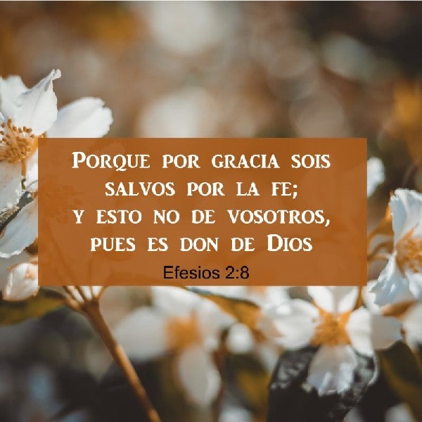 Efesios 2:8