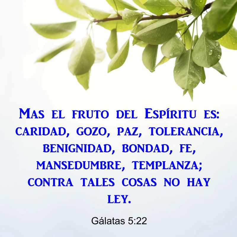 Gálatas 5:22-23