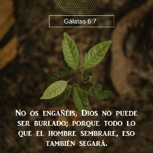 Gálatas 6:7