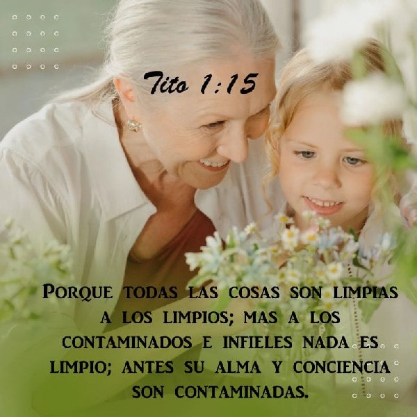 Tito 1:15