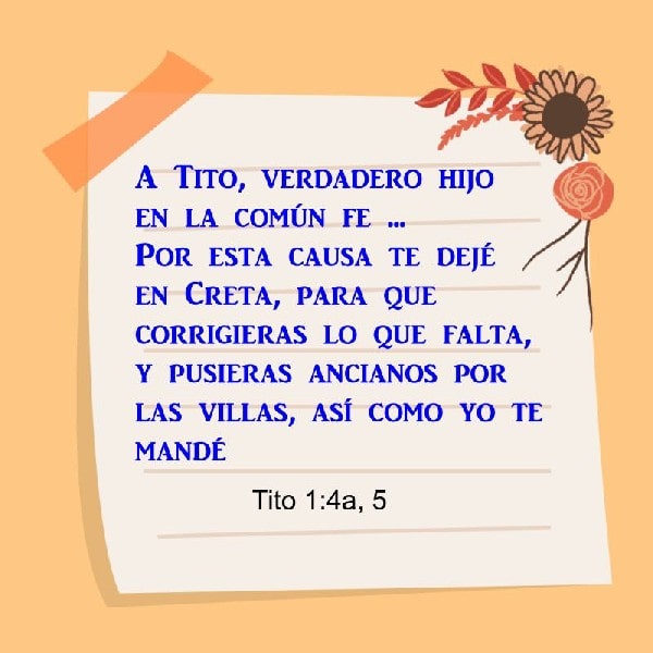 Tito 1:5
