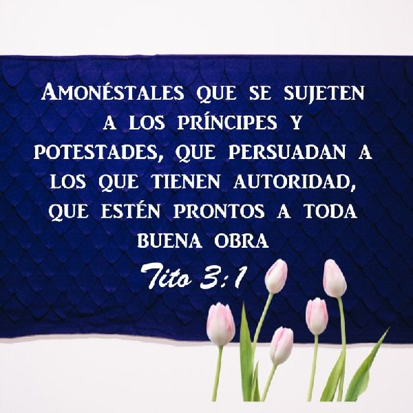 Tito 3:1