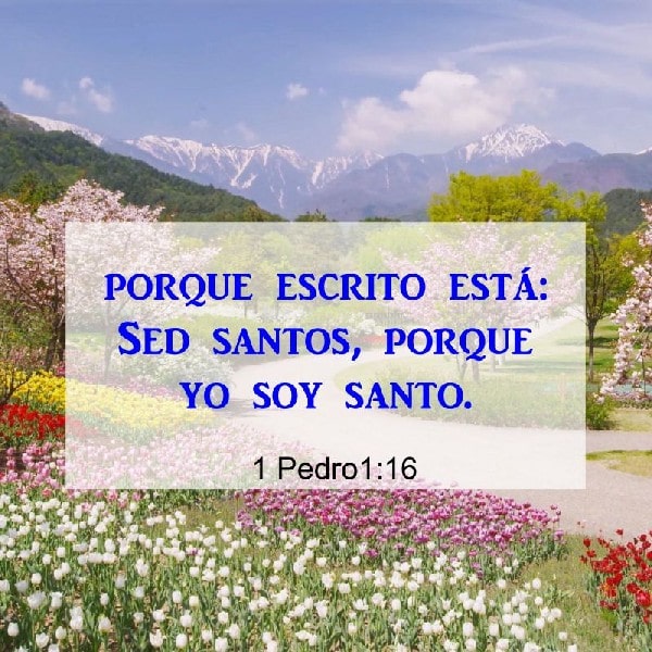 1 Pedro 1:16