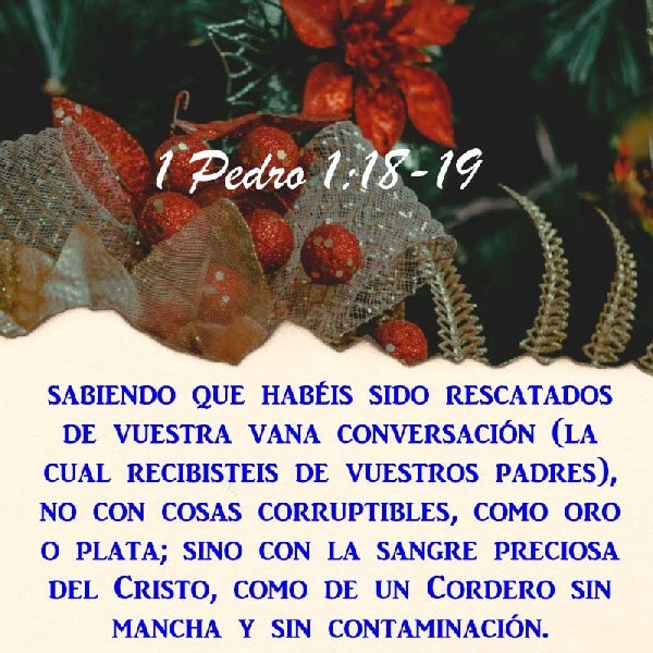 1 Pedro 1:18-19