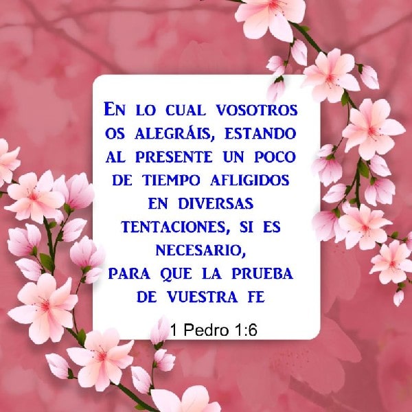 1 Pedro 1:6