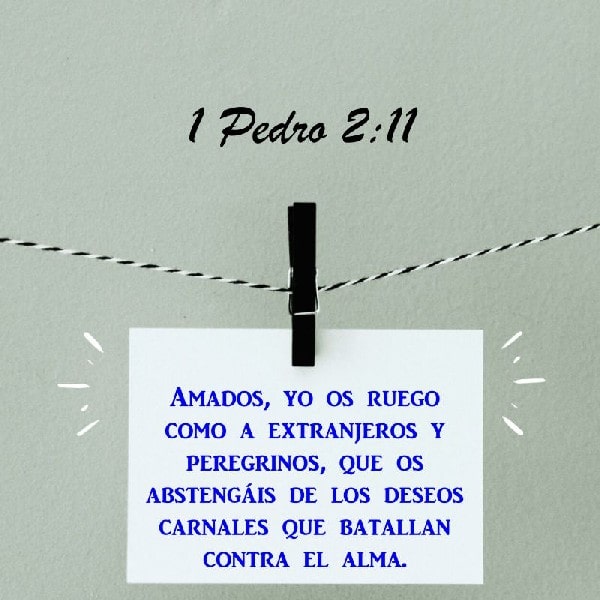 1 Pedro 2:11