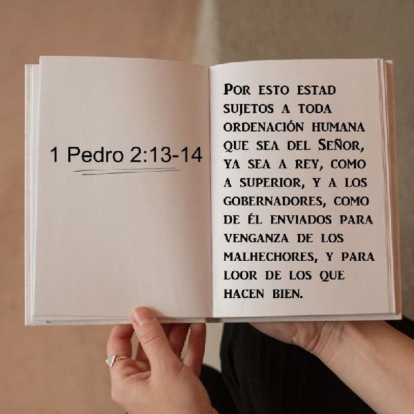 1 Pedro 2:13-14
