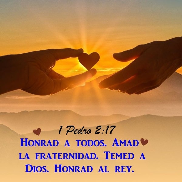 1 Pedro 2:17