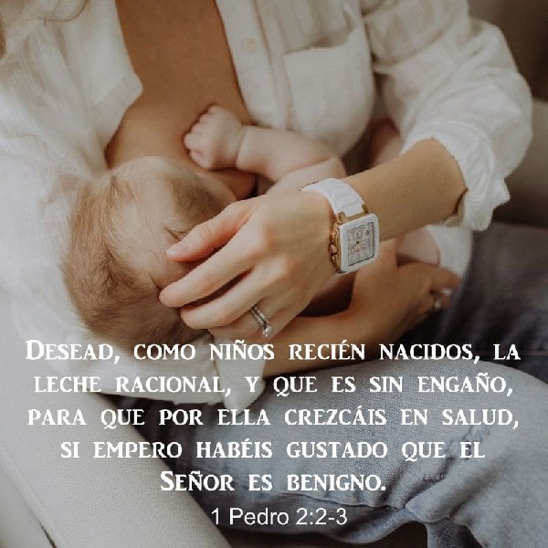 1 Pedro 2:2-3
