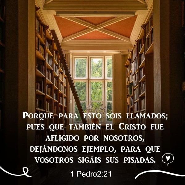 1 Pedro 2:21